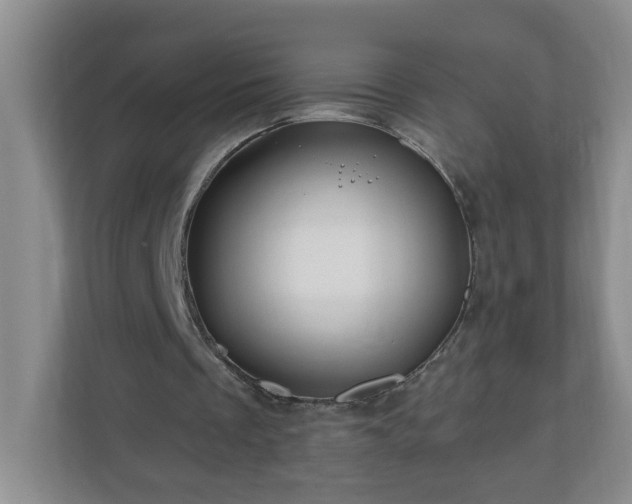 X0000111160289200907071134
