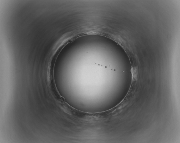 X0000111160291200907071134