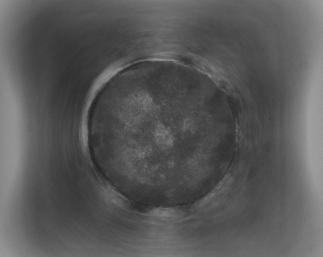 X0000111160294200907071134