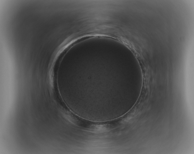 X0000111160295200907071134
