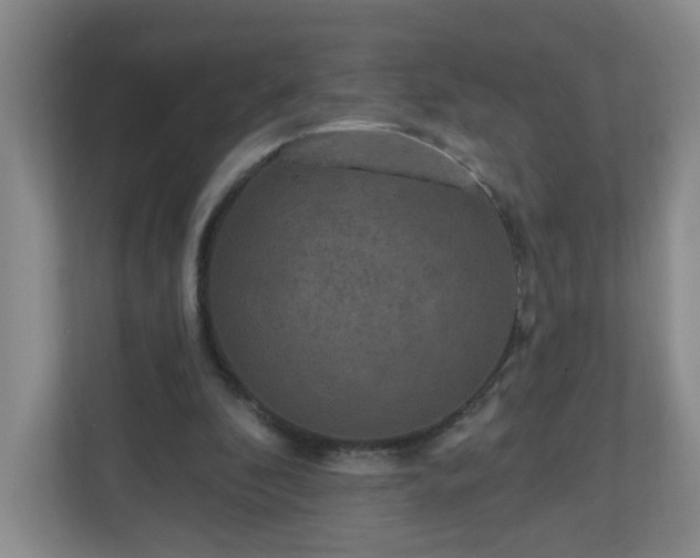 X0000111160296200907071134