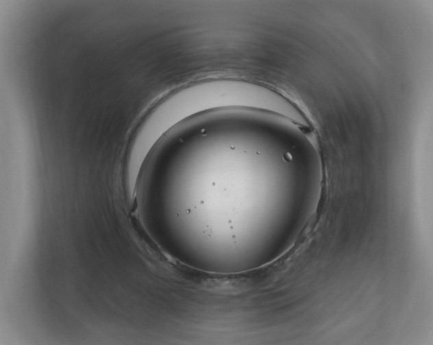 X0000111160297200907071134