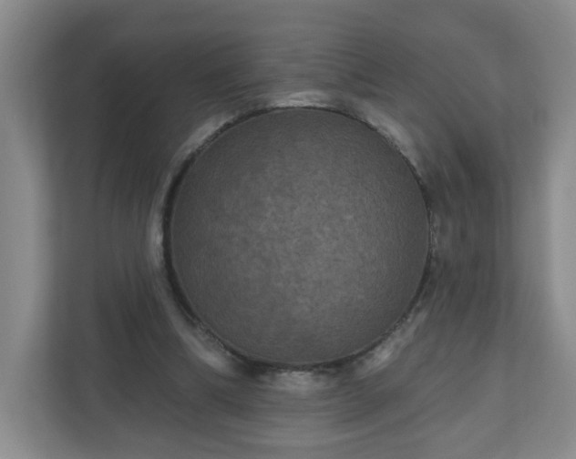 X0000111160298200907071134
