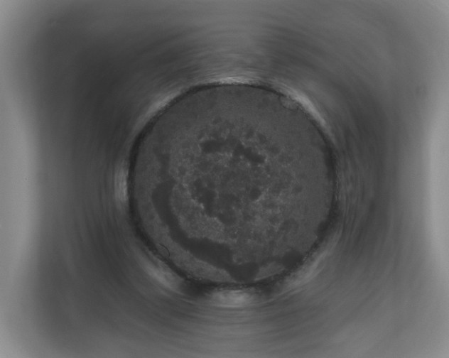 X0000111160299200907071134