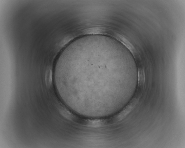 X0000111160301200907071134