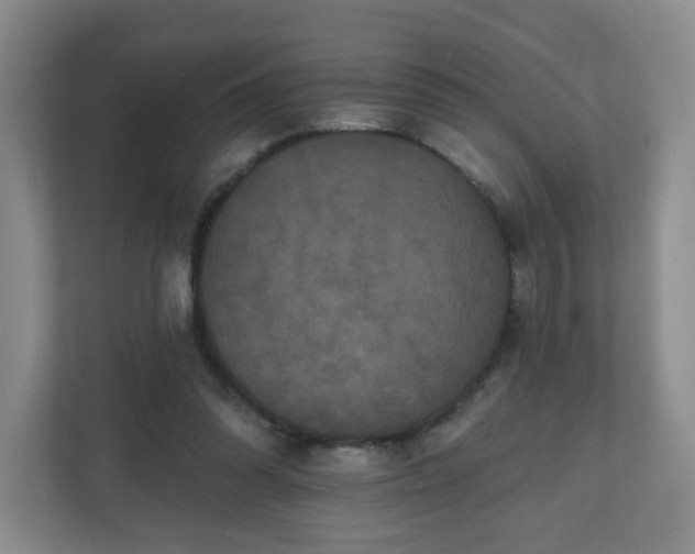 X0000111160302200907071134