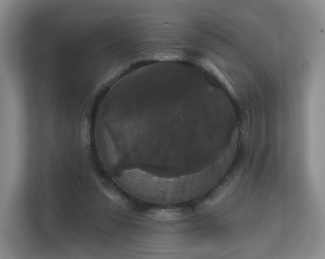 X0000111160303200907071134