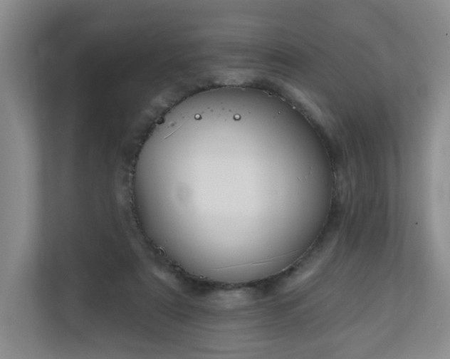 X0000111160307200907071134