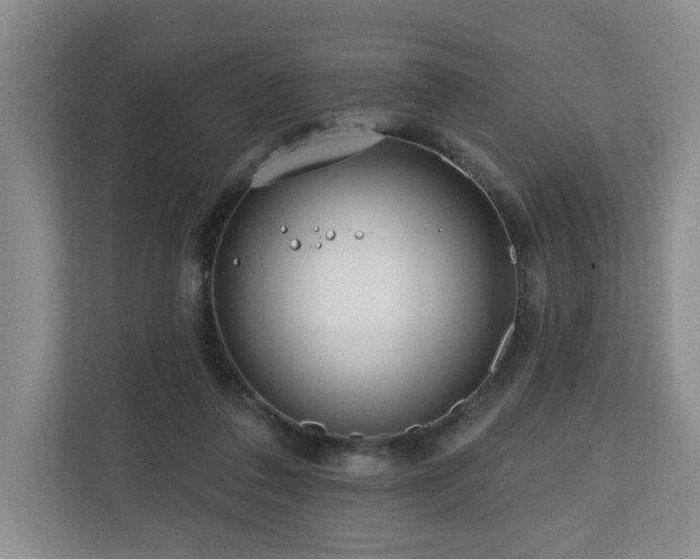 X0000111160308200907071134