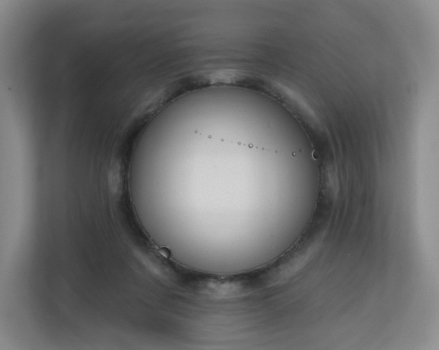 X0000111160311200907071134