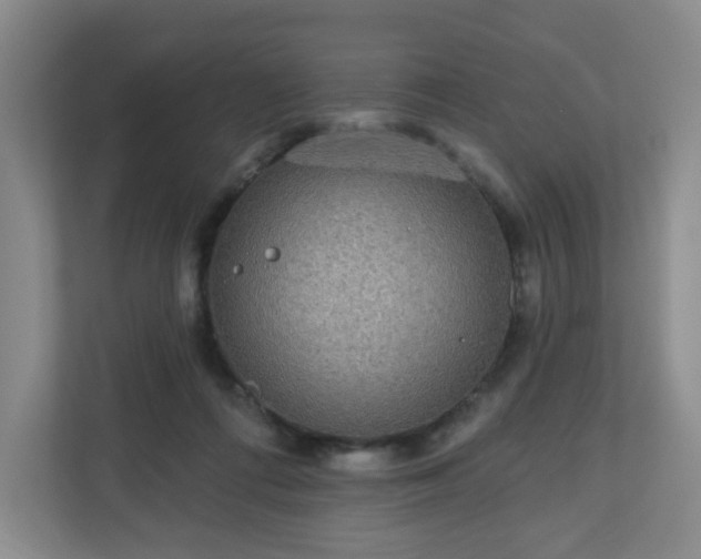 X0000111160312200907071134