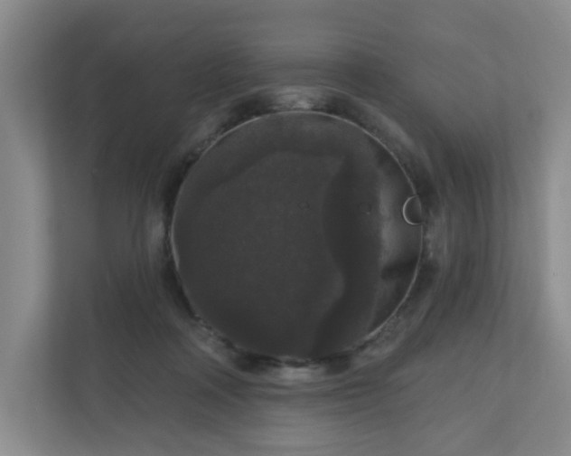 X0000111160314200907071134