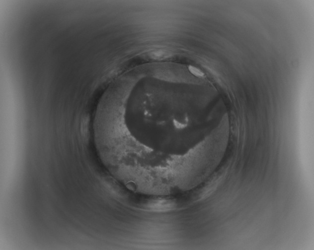 X0000111160319200907071134