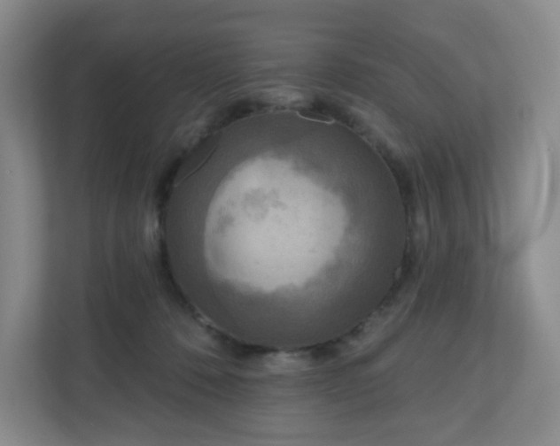 X0000111160320200907071134