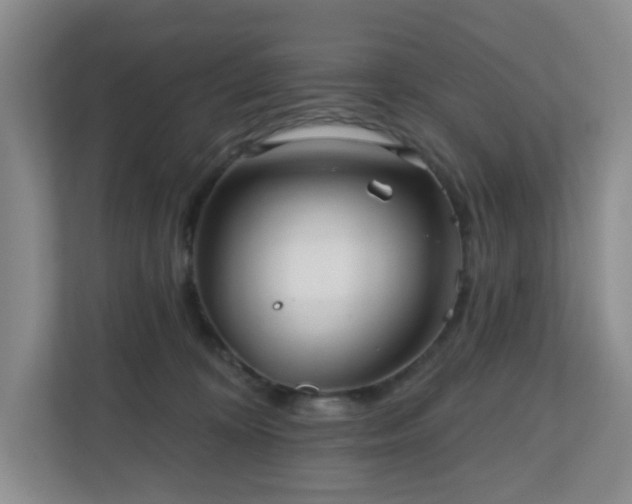 X0000111160324200907071134