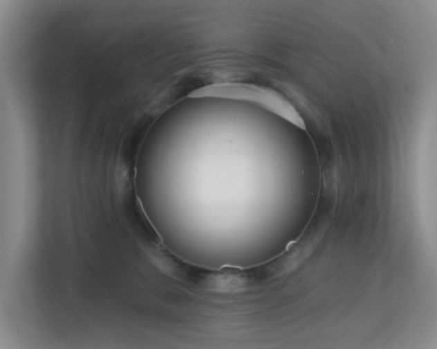 X0000111160327200907071134