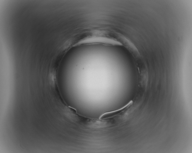 X0000111160329200907071134
