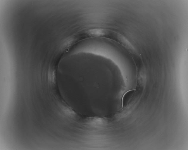 X0000111160330200907071134