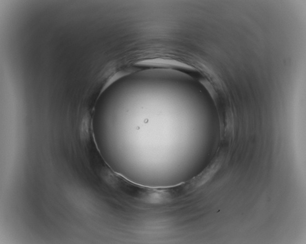 X0000111160333200907071134