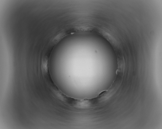 X0000111160334200907071134