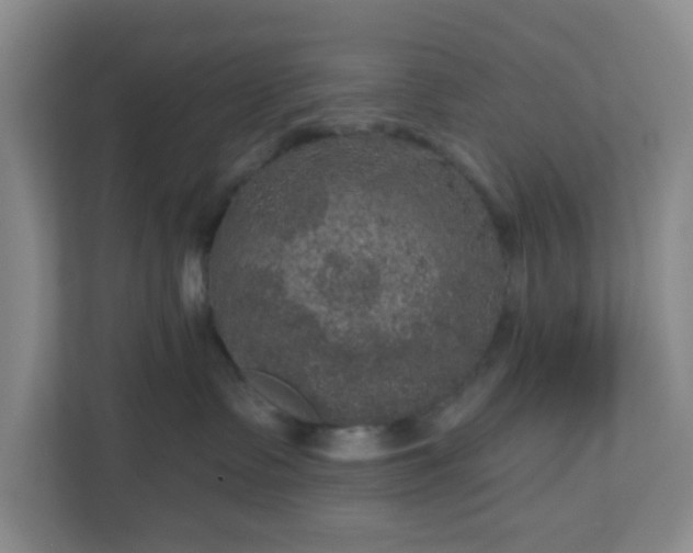 X0000111160335200907071134