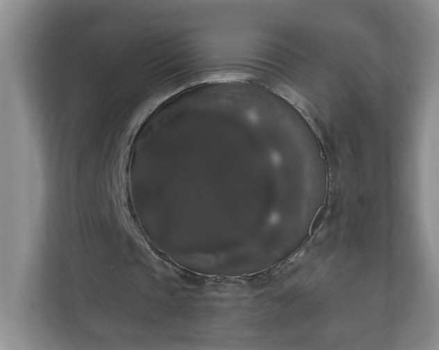 X0000111160337200907071133