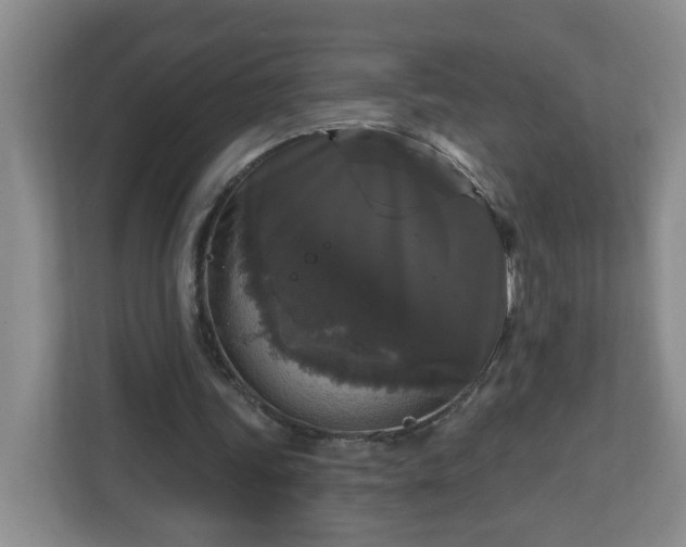 X0000111160339200907071133