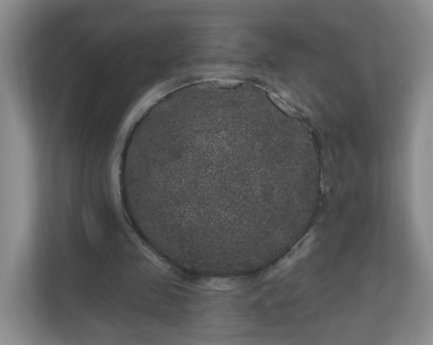 X0000111160341200907071133