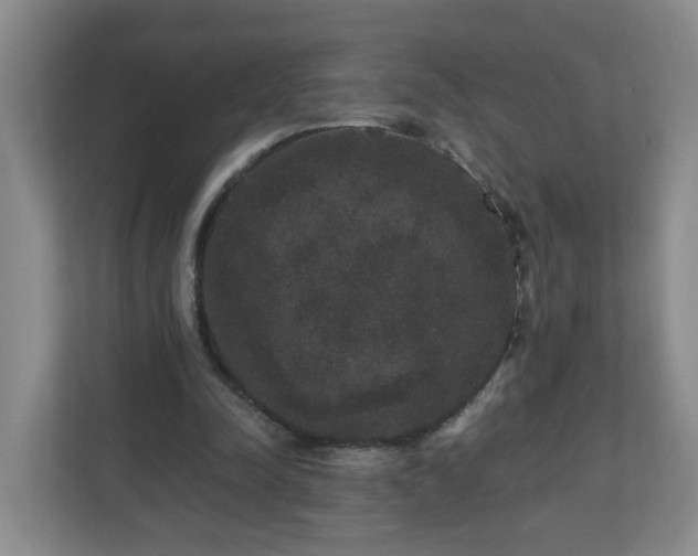 X0000111160342200907071133