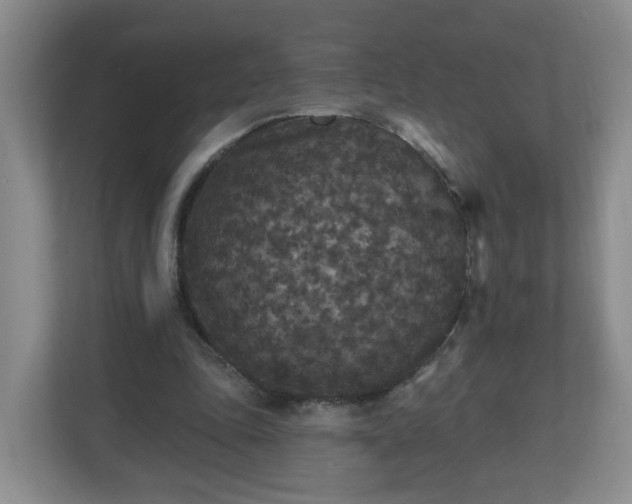 X0000111160343200907071133