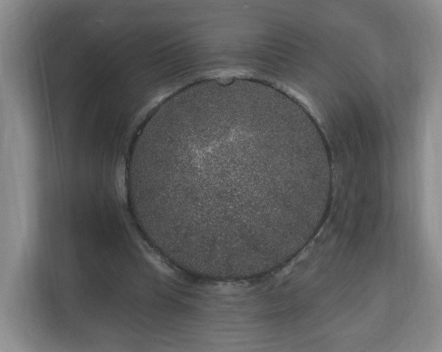 X0000111160345200907071133