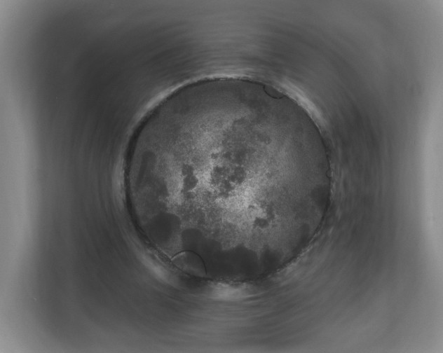 X0000111160346200907071133