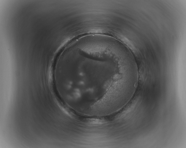 X0000111160347200907071133