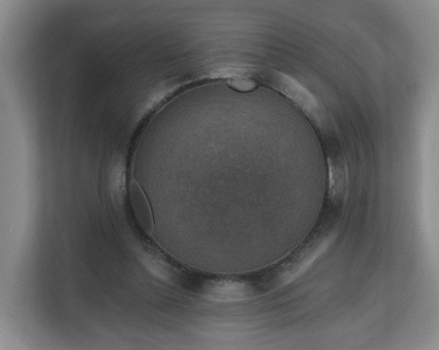 X0000111160348200907071133