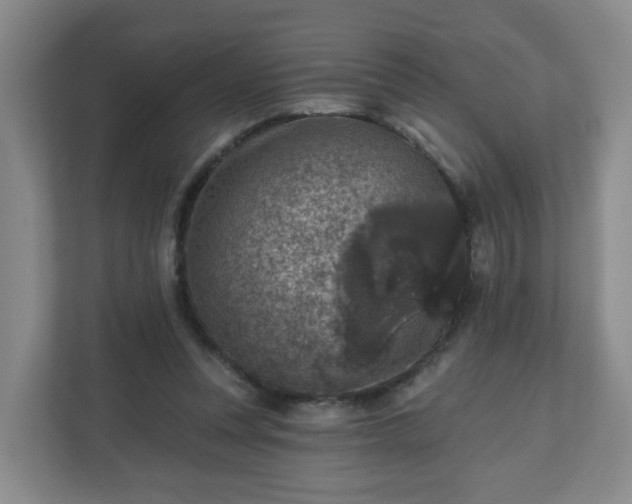 X0000111160351200907071133