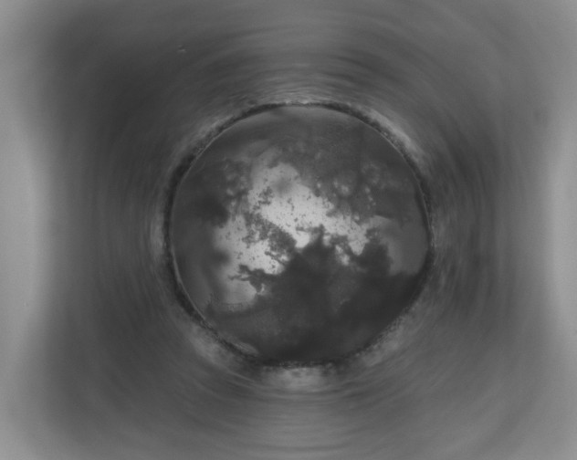 X0000111160353200907071133