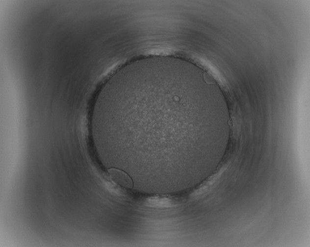 X0000111160354200907071133