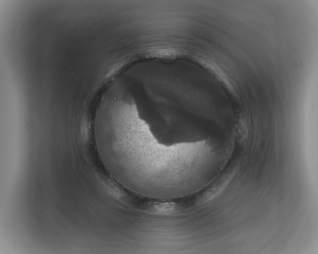 X0000111160355200907071133