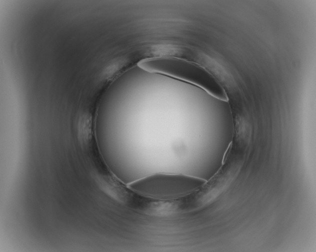 X0000111160356200907071133