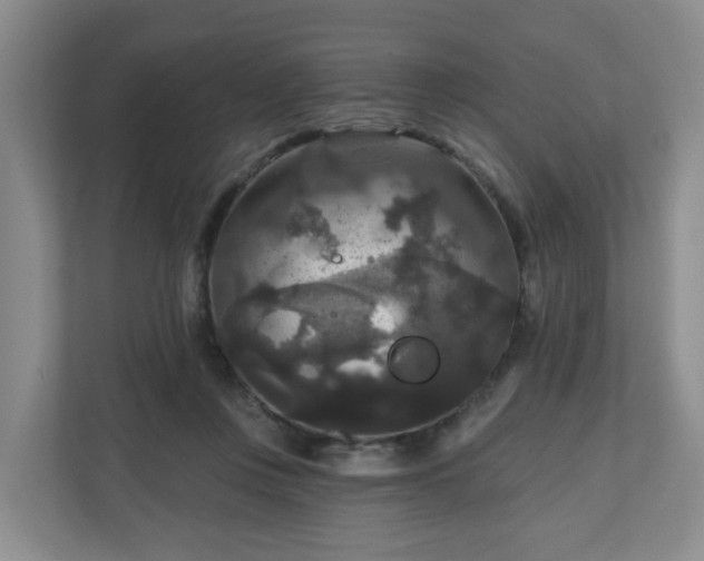 X0000111160359200907071133