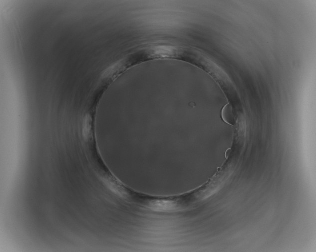 X0000111160361200907071133