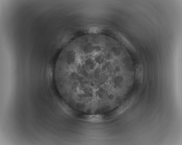 X0000111160363200907071133