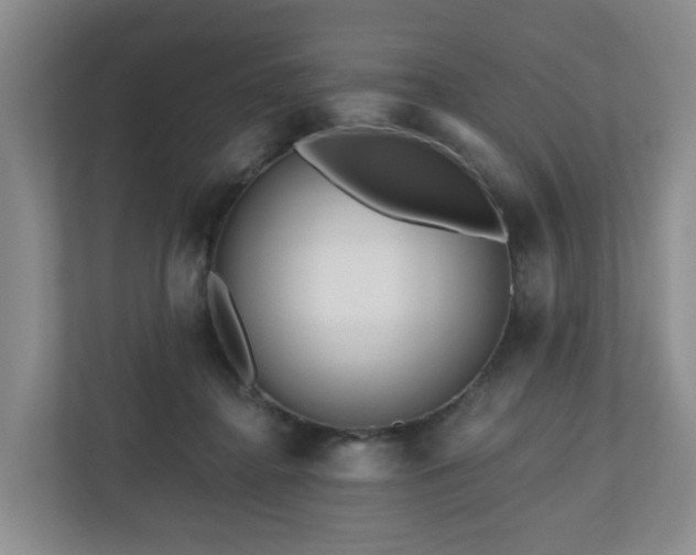 X0000111160364200907071133