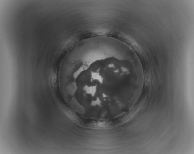 X0000111160365200907071133