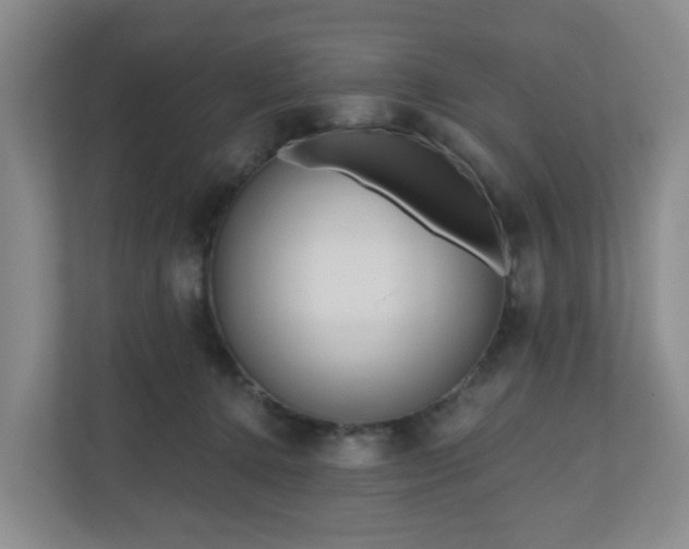 X0000111160368200907071133