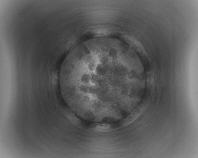X0000111160369200907071133