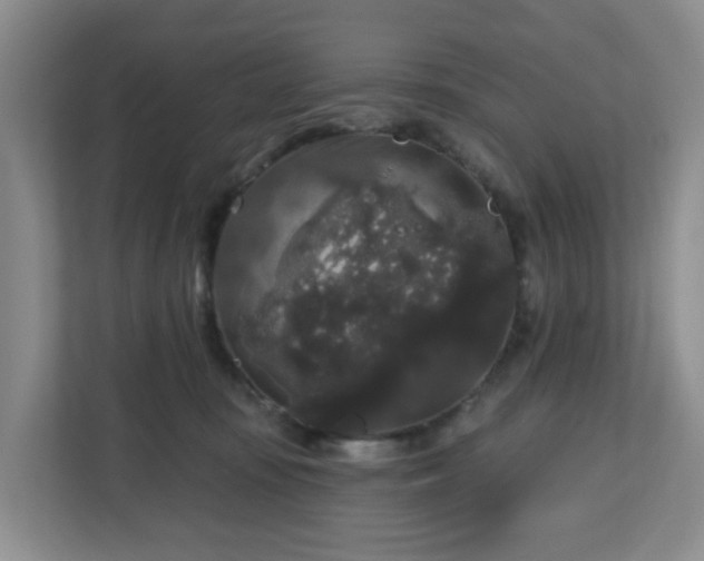 X0000111160371200907071134