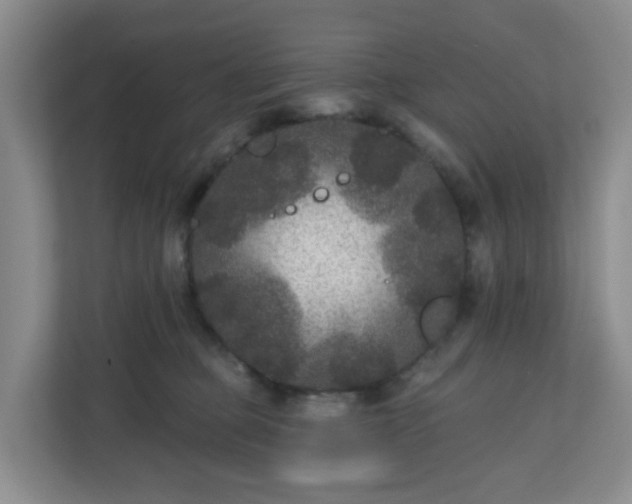 X0000111160373200907071134