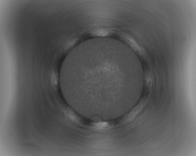 X0000111160374200907071134