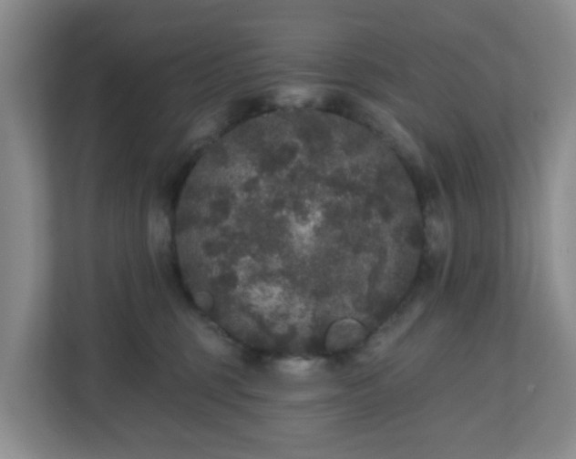 X0000111160375200907071134